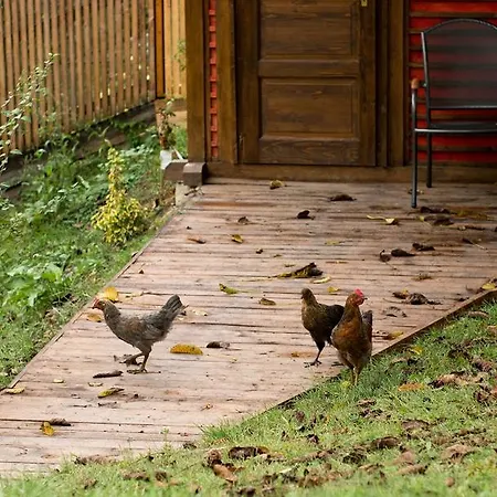 Fruktarium Vendeghaz 3*